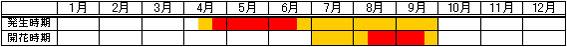 メヒシバの発生消長