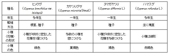 ヒメクグ類似種の相違点
