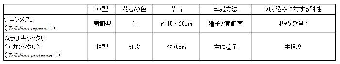 シロツメクサとムラサキツメクサの主な相違点