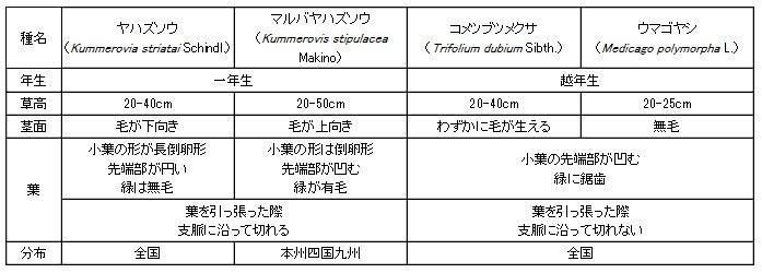 ヤハズソウと類似した草種の相違点