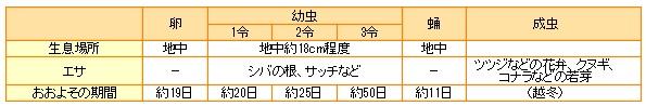 ヒラタアオコガネの生態