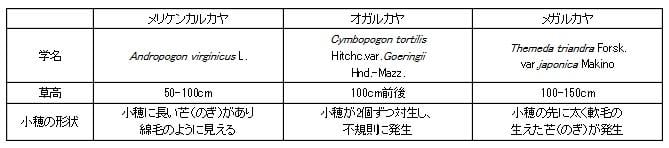 メリケンカルカヤ類似種の相違点